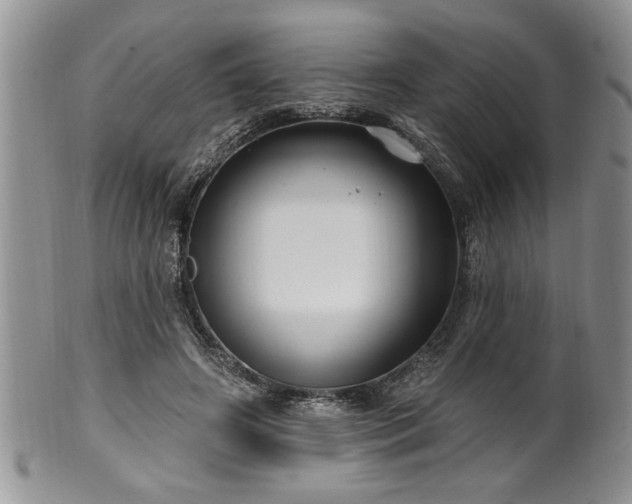 X0000100390498200806130955