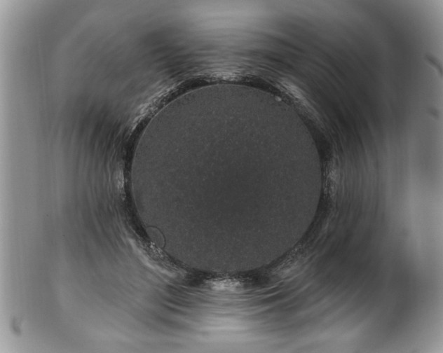 X0000100390500200806130955