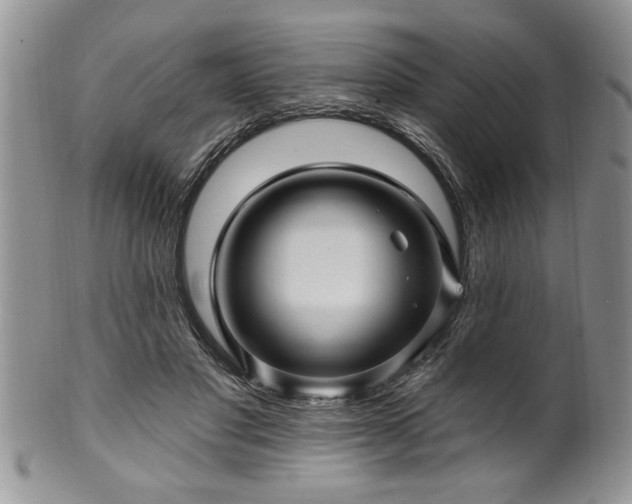 X0000100390501200806130955