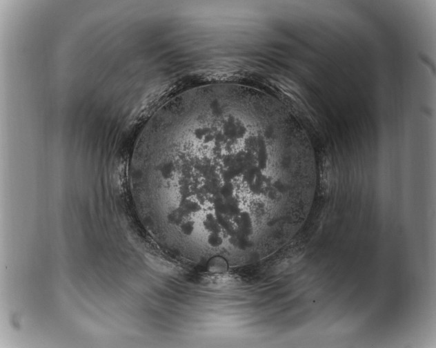 X0000100390503200806130955