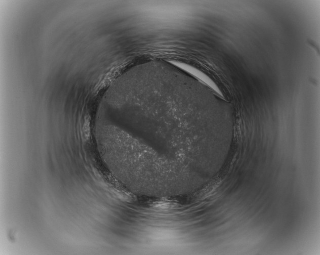 X0000100390504200806130955