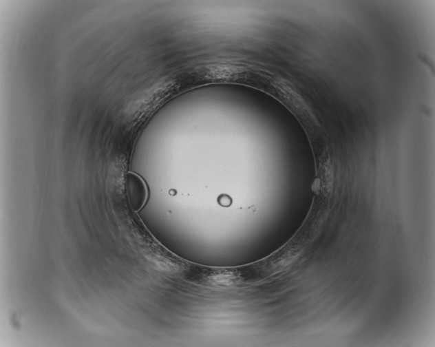 X0000100390505200806130955