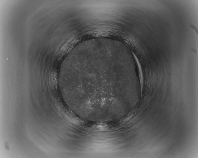 X0000100390506200806130955