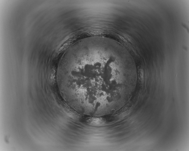 X0000100390507200806130955