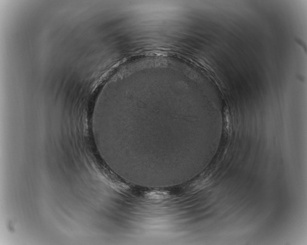 X0000100390508200806130955