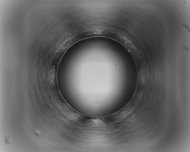 X0000100390509200806130955