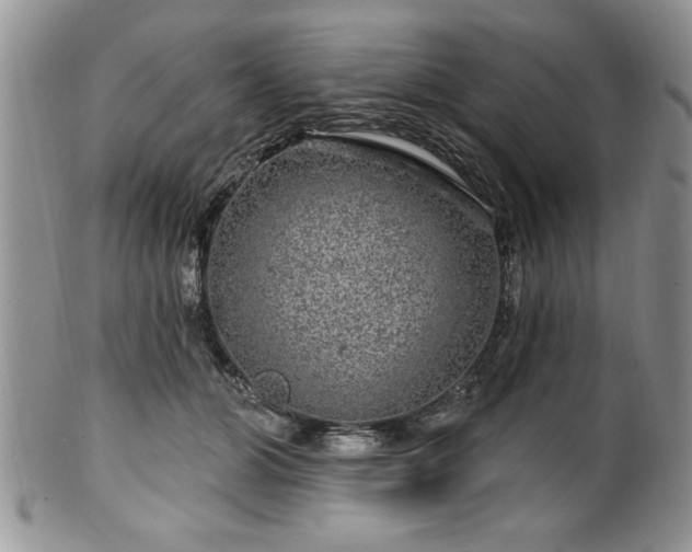 X0000100390510200806130955