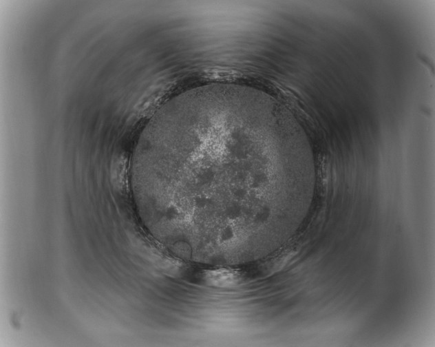 X0000100390511200806130955