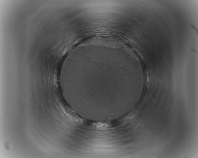 X0000100390512200806130955