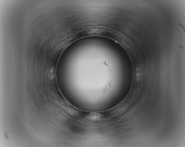 X0000100390514200806130954