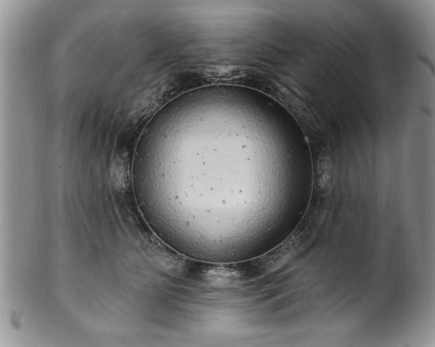 X0000100390515200806130954