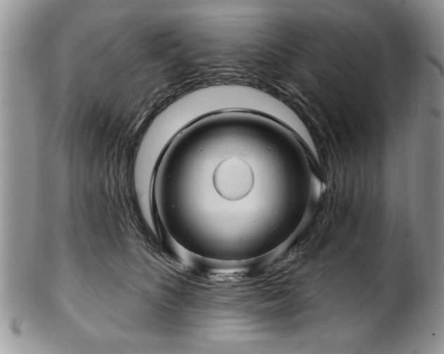 X0000100390516200806130954