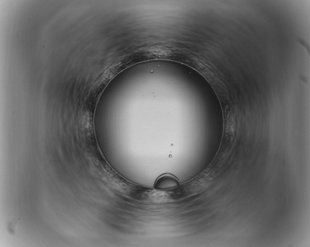 X0000100390518200806130954