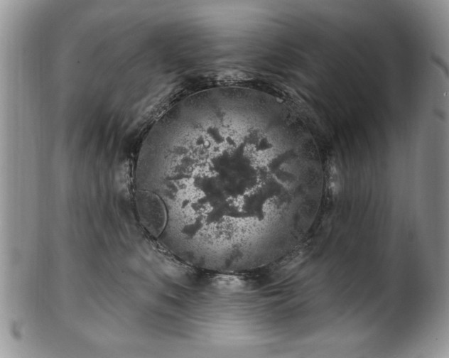 X0000100390519200806130954