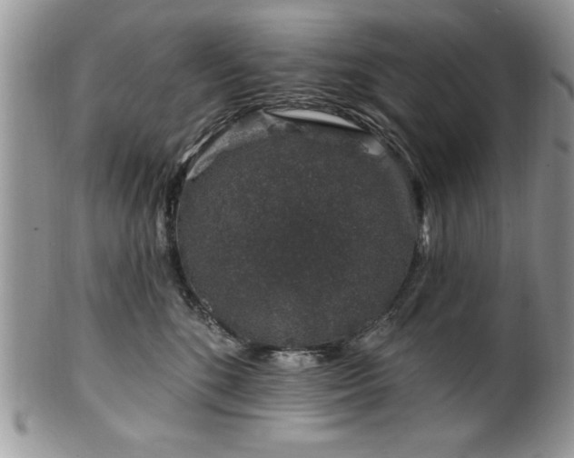 X0000100390520200806130954