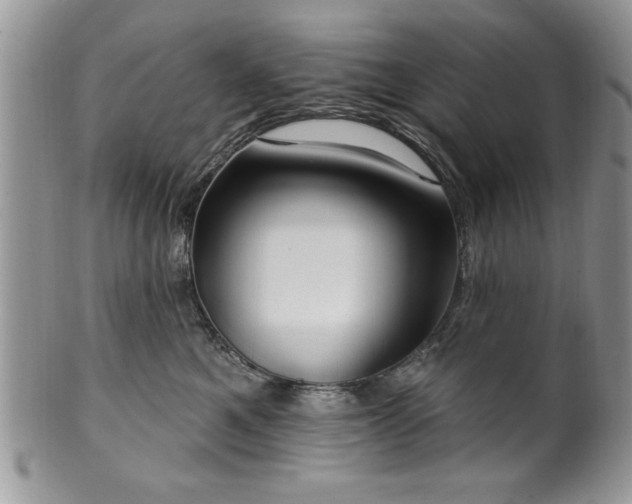 X0000100390521200806130954