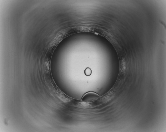 X0000100390522200806130954