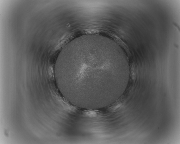 X0000100390523200806130954