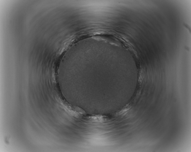 X0000100390524200806130954