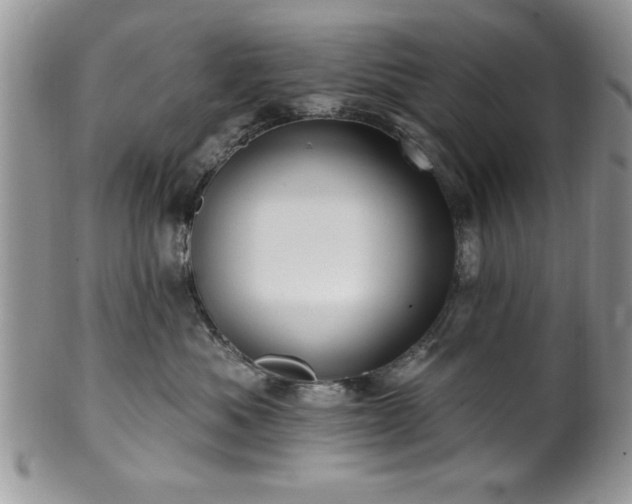 X0000100390525200806130954