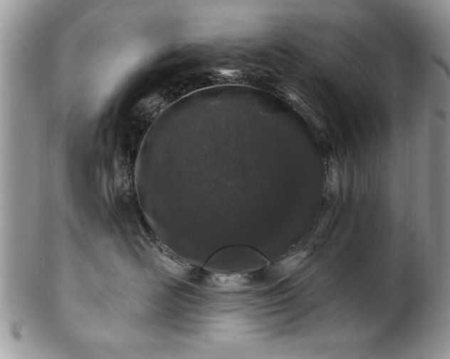 X0000100390526200806130954