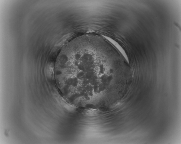 X0000100390527200806130954