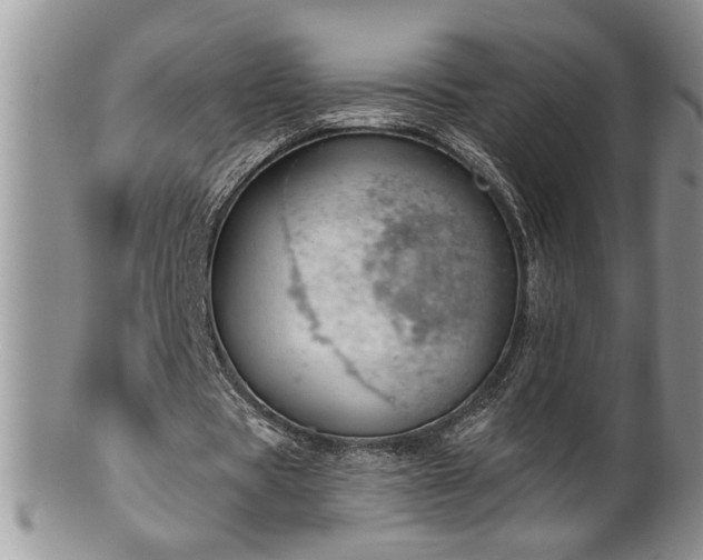 X0000100390529200806130954