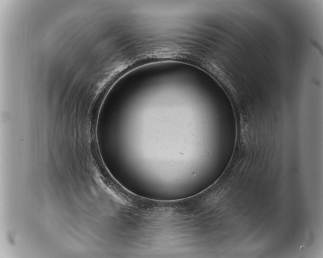 X0000100390530200806130954