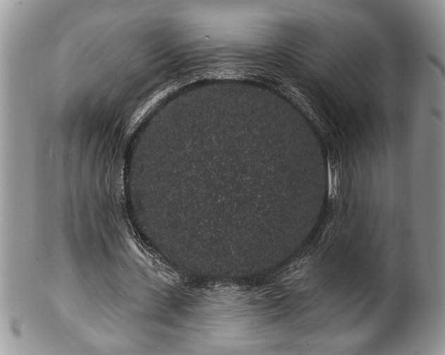 X0000100390531200806130954