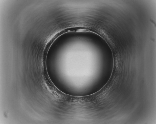 X0000100390532200806130954