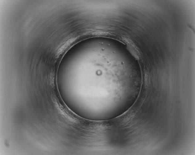 X0000100390533200806130954