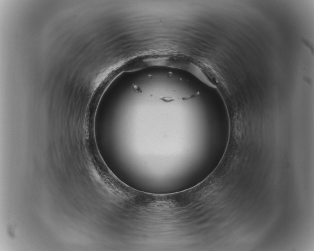 X0000100390536200806130954