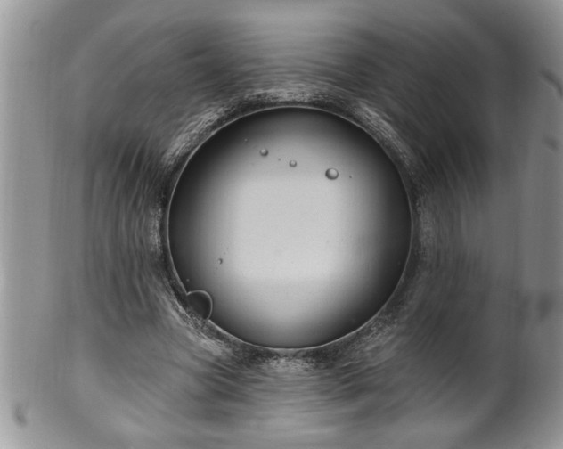 X0000100390537200806130954