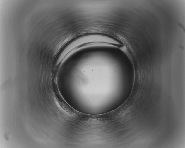 X0000100390538200806130954