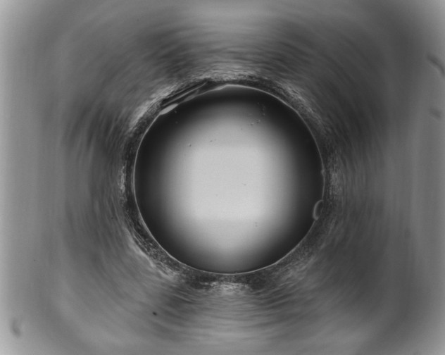 X0000100390539200806130954