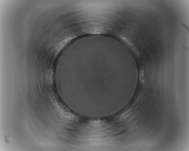 X0000100390540200806130954