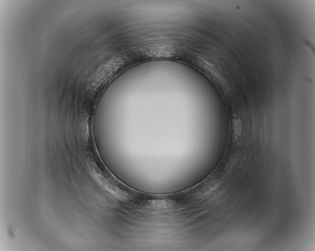 X0000100390541200806130954