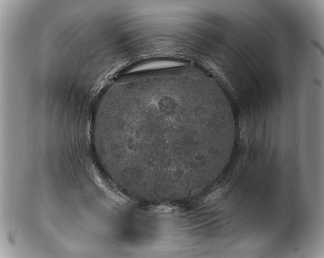 X0000100390542200806130954