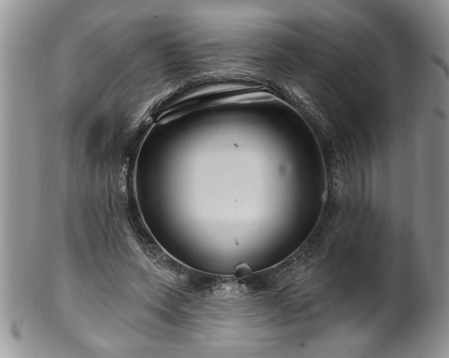 X0000100390543200806130954