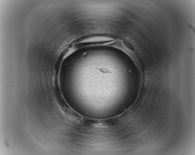 X0000100390544200806130954