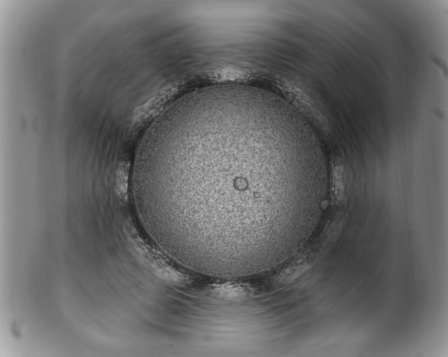 X0000100390545200806130954