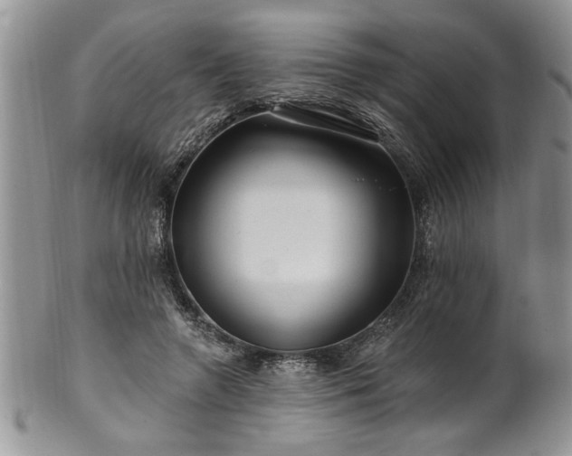 X0000100390546200806130954