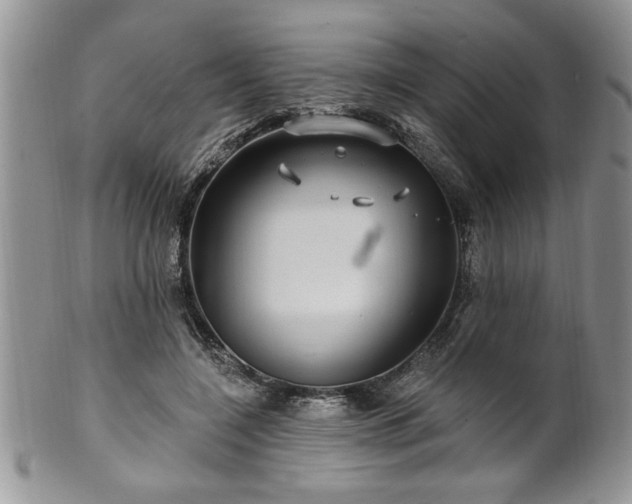 X0000100390548200806130954