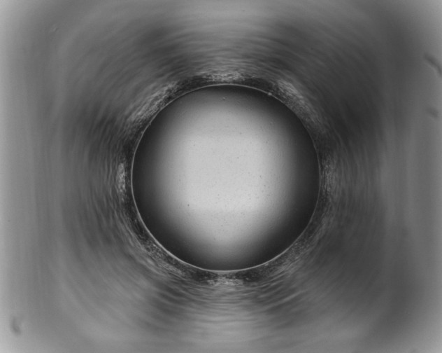 X0000100390549200806130954