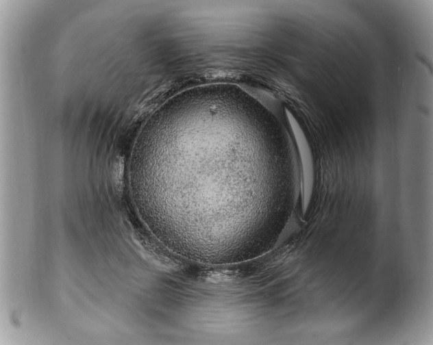 X0000100390550200806130954