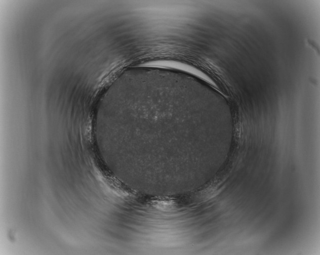 X0000100390552200806130954