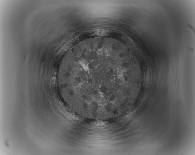 X0000100390553200806130954