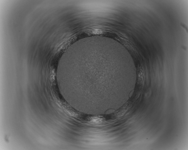 X0000100390555200806130954