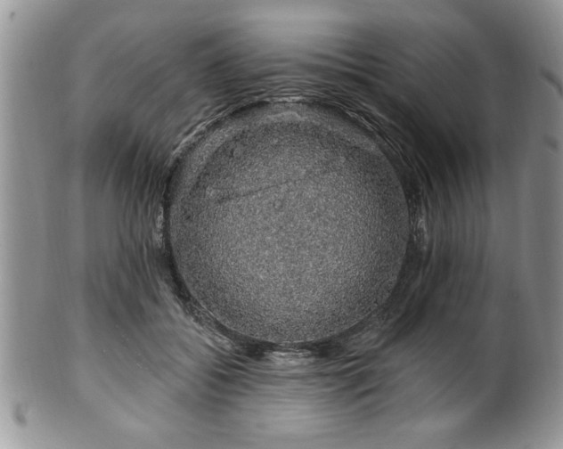 X0000100390556200806130954