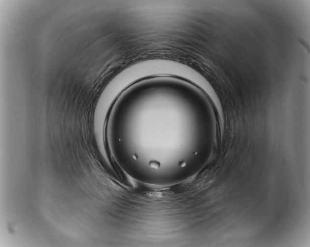 X0000100390558200806130954